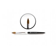 Brush - Zorro