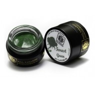 4D Plastecine Gel - Collection #1 - Forest Green