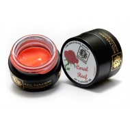 4D Plastecine Gel - Collection #2 - Coral Reef