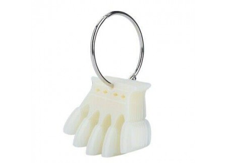 Natural Crown Nail Display with ring 50pcs