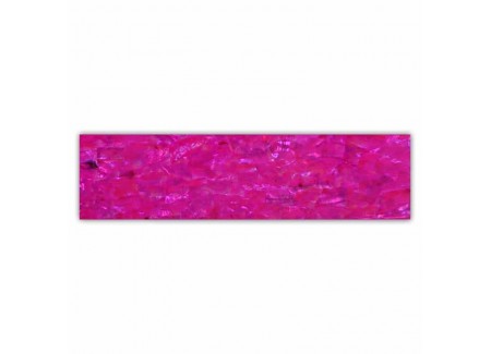 Shell Plate 660001