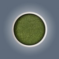 Glitter - Agave Cactus