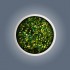 Glitter - Fresh Mint