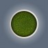 Glitter - Mystical Green