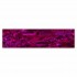 Shell Plate 660012