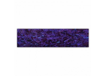 Shell Plate 660002