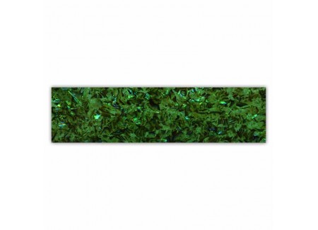 Shell Plate 660003