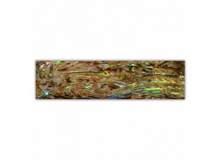 Shell Plate 660005