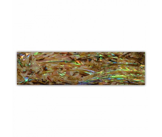 Shell Plate 660005 - Nail & Eyelash Paradise
