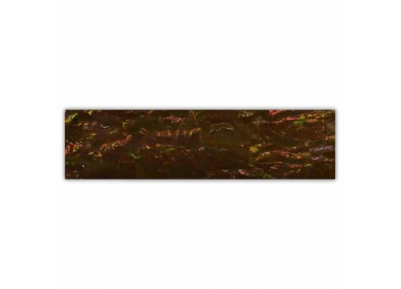 Shell Plate 660006