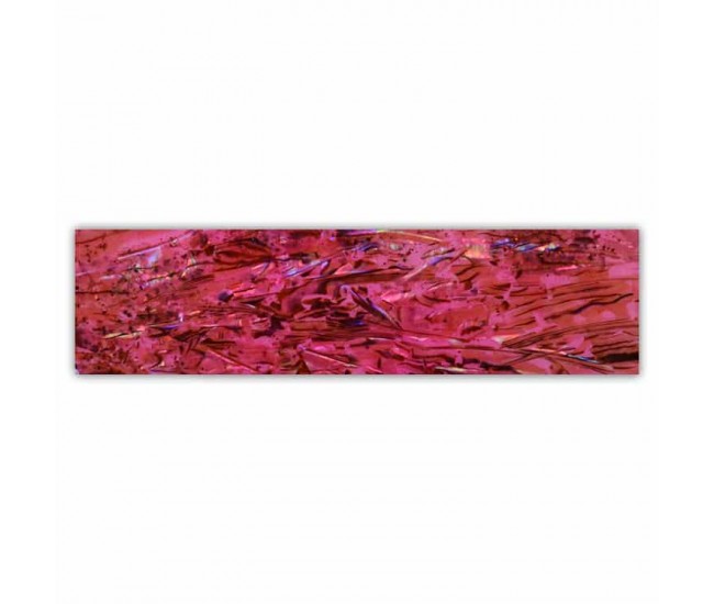 Shell Plate 660000 - Nail & Eyelash Paradise