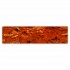 Shell Plate 660007