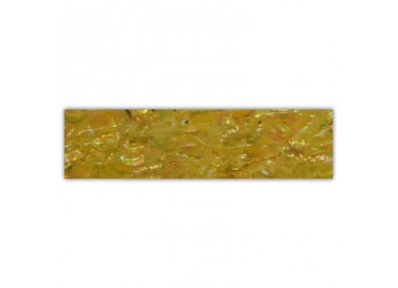 Shell Plate 660009