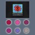 Acrylic Color Powder Collection - Teddy Bear Love 36g