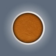 Acrylic Color Powder - Gold Summer Sand 6g