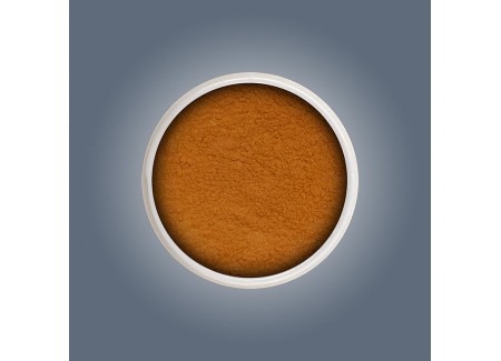 Acrylic Color Powder - Gold Summer Sand 6g