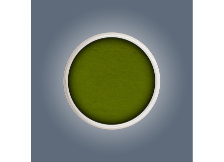 Acrylic Color Powder - Juice Lime 6g