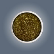 Acrylic Color Powder - Posh 6g